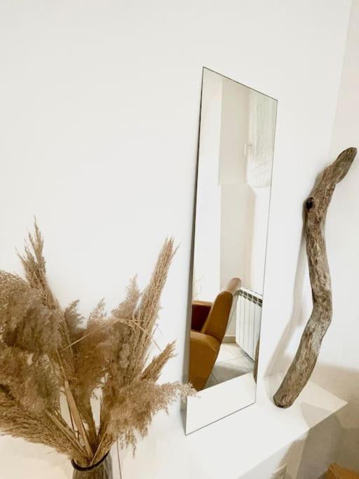 Maison Avec Exterieur Proche Saint Guilhem Le Desert エクステリア 写真